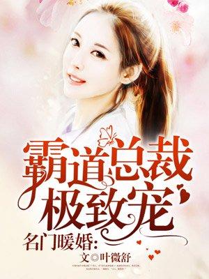 名门暖婚霸道总裁极致宠有声书