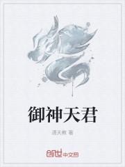 御神天君全文阅读