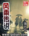 nds风雨传说攻略