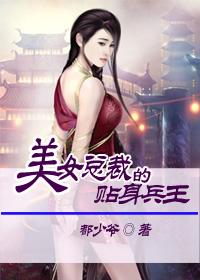 美女总裁的贴身兵王秦风