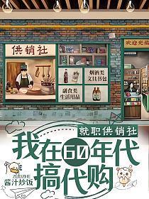 就职供销社我在60年代搞代购全文免费阅读