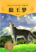 狼王梦作品梗概作文500字