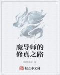 魔导师什么意思